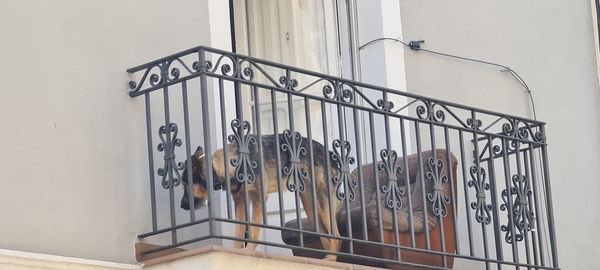 Close-up of metal railing against wall at home