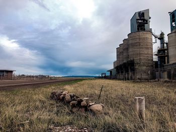 Scenic view of farm against sky