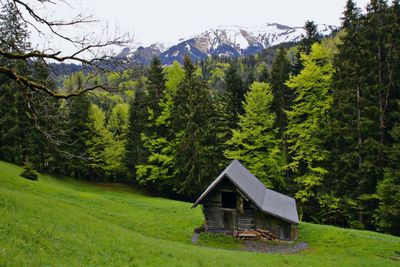 House amidst trees and plants on landscape against mountain