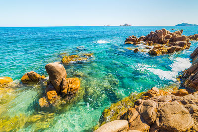 Scenic view of sea against clear sky