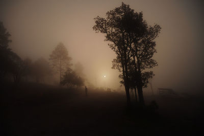 Silhouette trees on field against sky during foggy weather