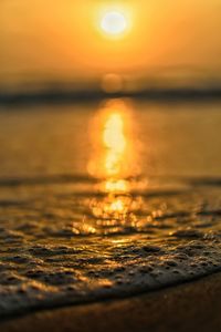 Surf on shore at beach during sunset
