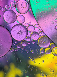 Colorful bubbles abstract background, oil bubbles in transparent liquid backdrop