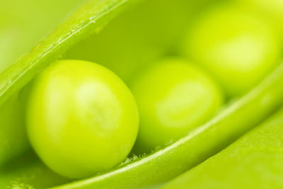 Full frame shot of  fresh green beans