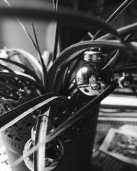 Close-up of glass decoration on potted plant at home