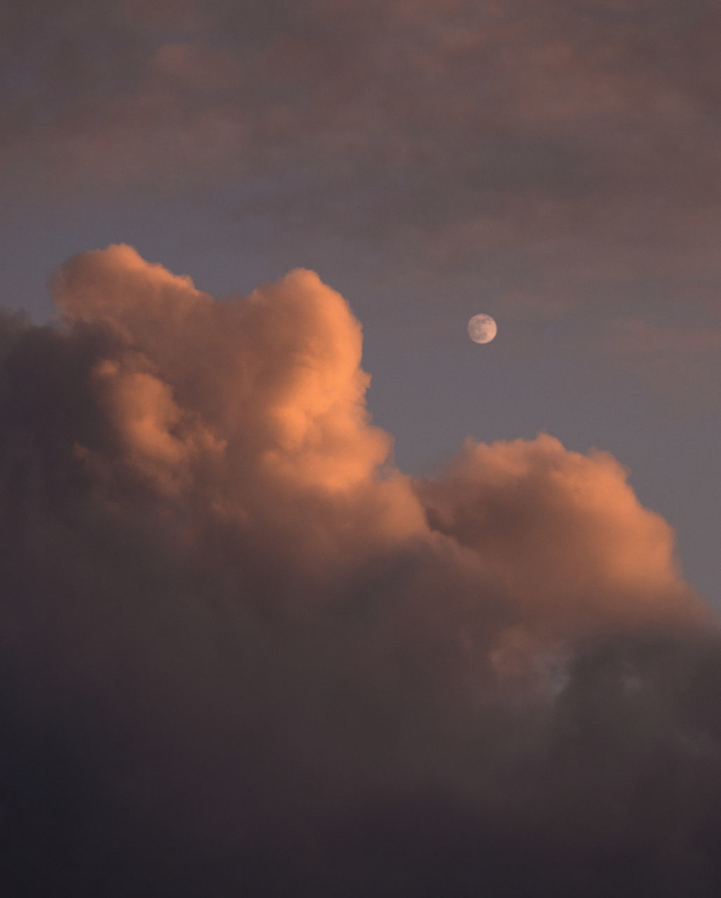 sky, cloud, beauty in nature, nature, no people, moon, tranquility, scenics - nature, sunlight, outdoors, space, idyllic, tranquil scene, low angle view, cloudscape, dawn, sunset, dramatic sky