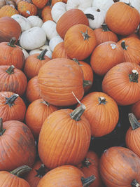 High angle view of pumpkins for sale at market stall