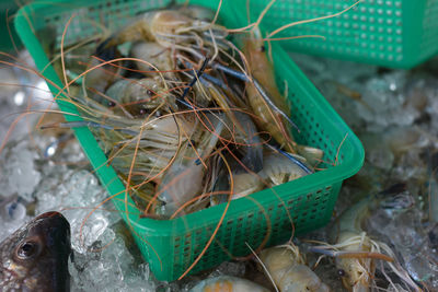 High angle view of fish for sale in market