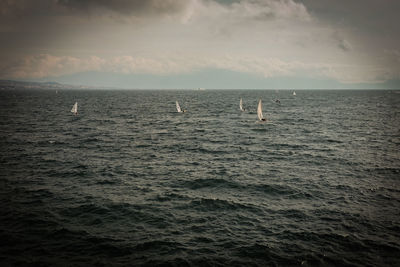 Scenic view of sea against sky