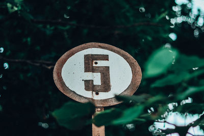 Close-up of arrow sign on road