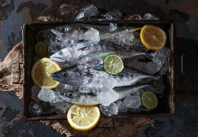 Directly above shot of fish on ice