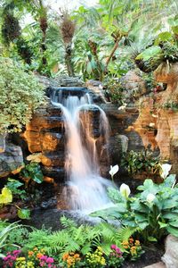 Scenic view of waterfall