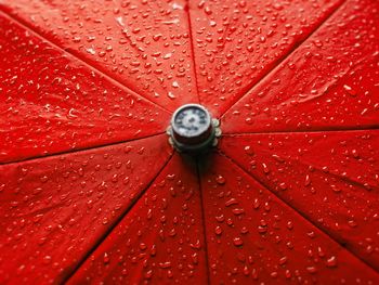 Close-up of water drops on red umbrella