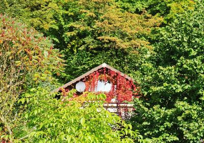 View of built structure against trees