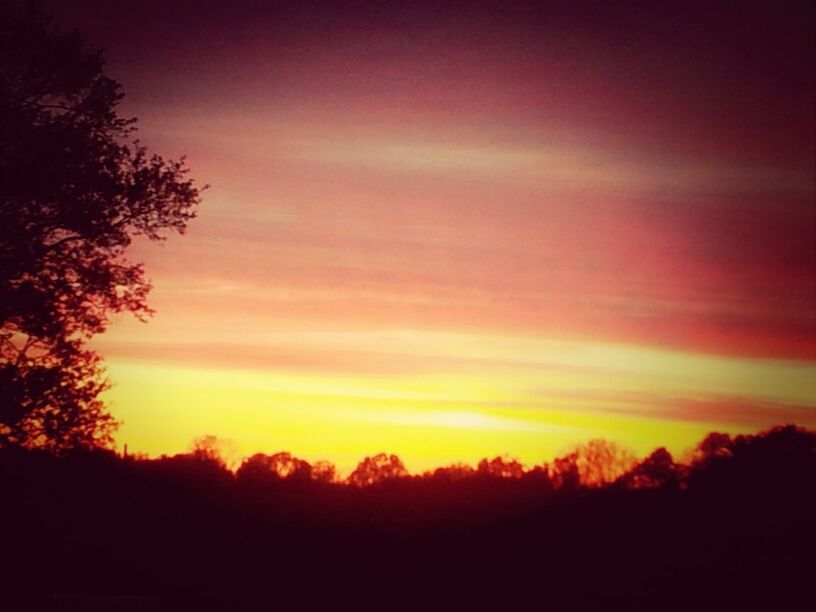 sunset, silhouette, scenics, beauty in nature, orange color, tranquil scene, tranquility, tree, sky, nature, idyllic, dramatic sky, landscape, cloud - sky, majestic, outdoors, no people, awe, non-urban scene, dark