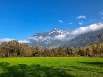 Scenic view of landscape against sky