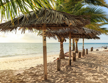 Palm trees on beach against sky