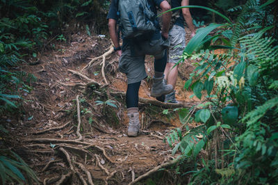 Low section of man standing on field in forest