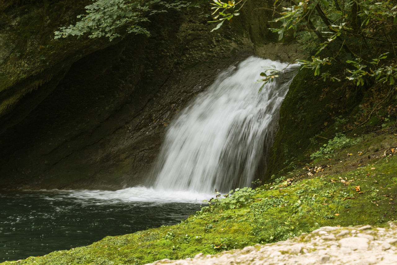 WATERFALL IN FOREST