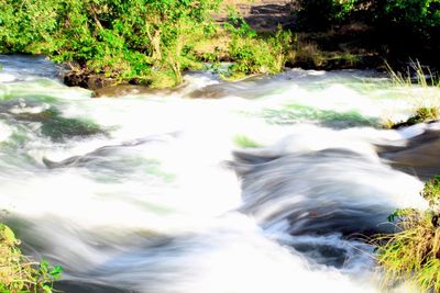 Scenic view of waterfall