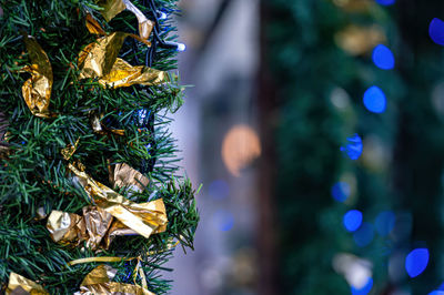 Close-up of christmas tree