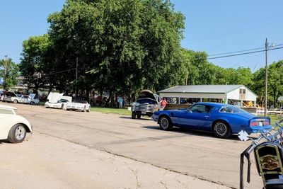 Cars on road against trees in city