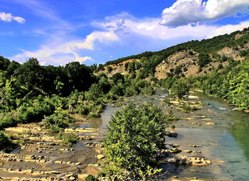 Scenic view of river by trees against sky