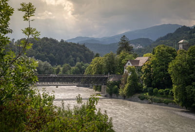 Scenic view of river amidst trees against sky