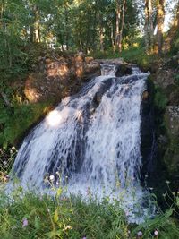 Scenic view of waterfall in forest