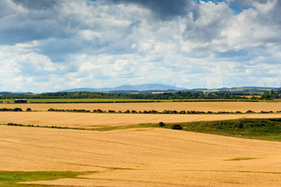 Fields on a beautiful sunny day in northumberland