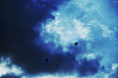 Low angle view of silhouette flying against sky