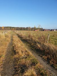 Scenic view of field against clear blue sky