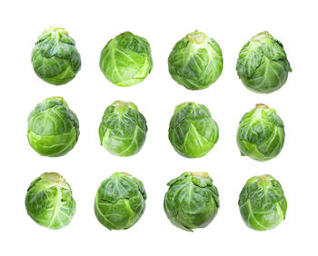 Close-up of leaves against white background