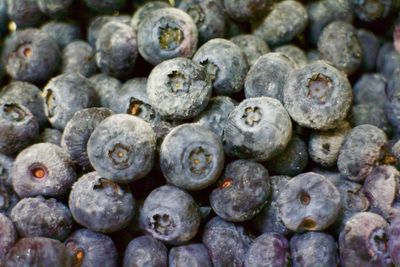 Full frame shot of blueberries