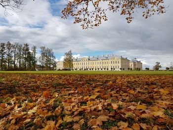 Autumn leaves in park against sky