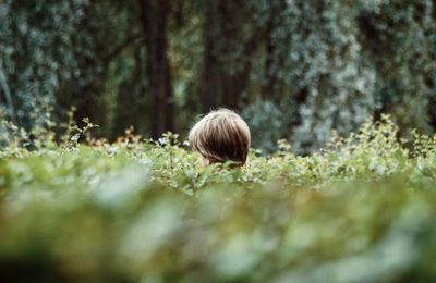 Close-up of boy against plants