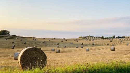 Hay bales on field against sky