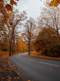 Road amidst trees against sky during autumn