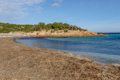 Scenic view of sea against blue sky