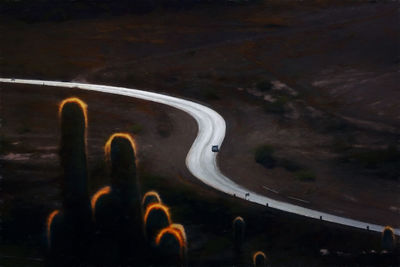 High angle view of road by plants