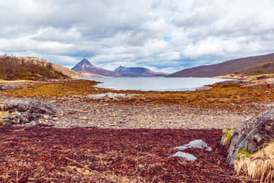 Scenic view of landscape against sky