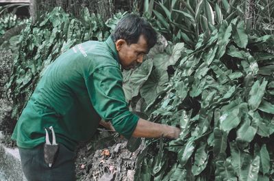 Young man looking at plants