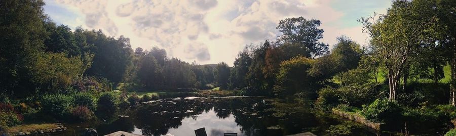 Panoramic view of river amidst trees in forest against sky