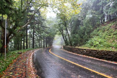 Road amidst trees in forest