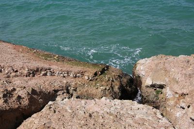 High angle view of rocks on beach