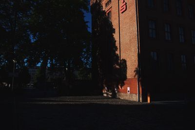 People on street amidst buildings at night