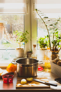 Potted plant on table at home