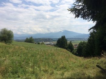 Scenic view of field against sky