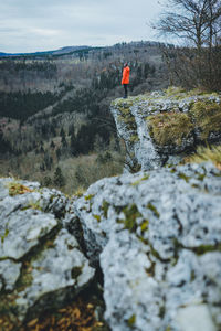 Rear view of man on rock by mountain