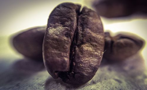 Close up of plant against blurred background